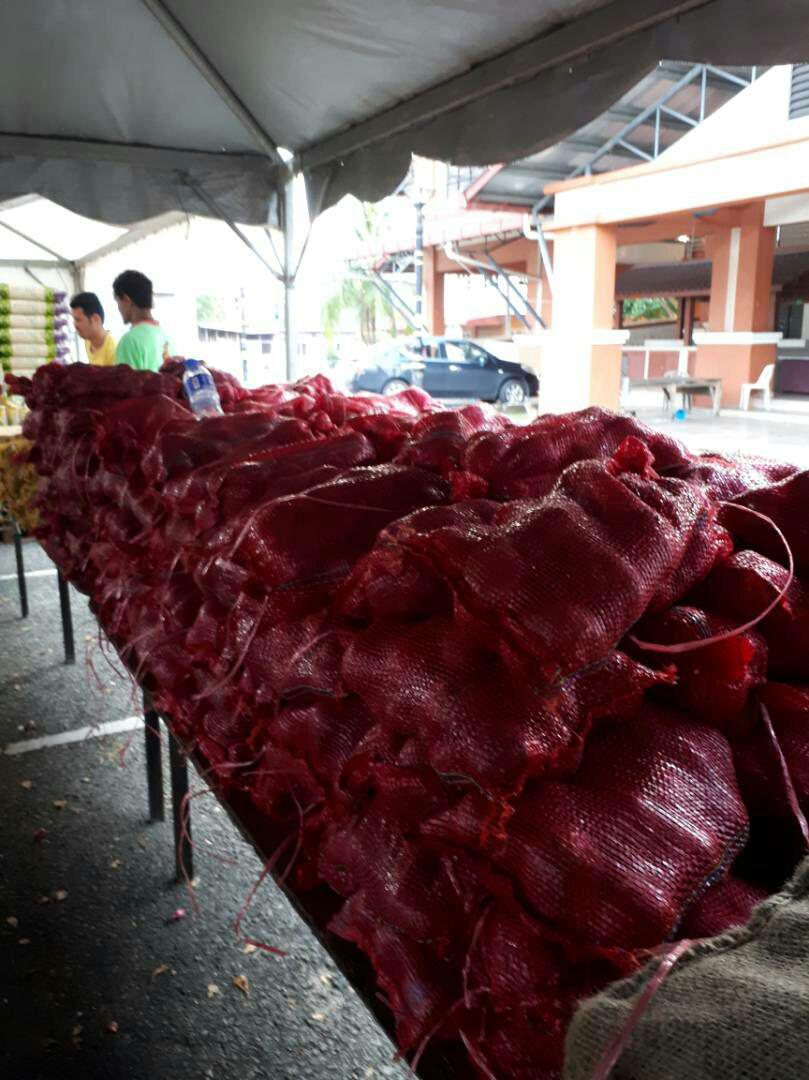 photo 2018 02 07 15 36 15